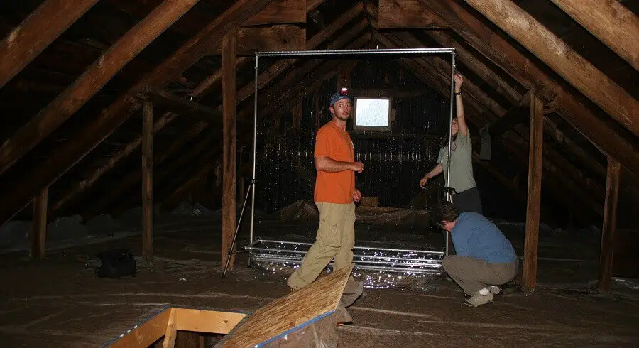 Professionals can set bat traps for safe relocation – Country Pests