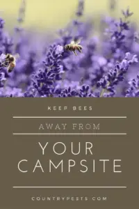 Keep bees away while hiking (1)
