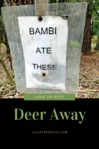 Keep deer from eating your garden (1)