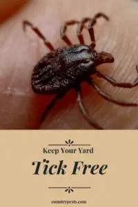 Keep ticks out of your yard (1)