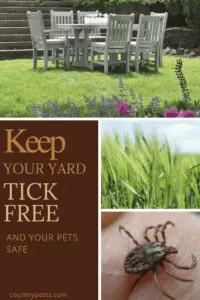 Keep your yard tick free (1)