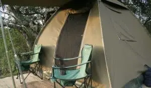 Nuetral colored tents don't attract bears as much as bright colors